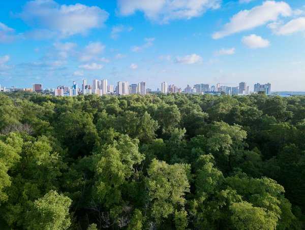 Le camping d'Ibardin: le camping au pieds des chênes.