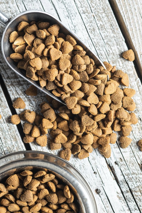 Quels sont les avantages des croquettes bio pour animaux de compagnie et comment les choisir ?