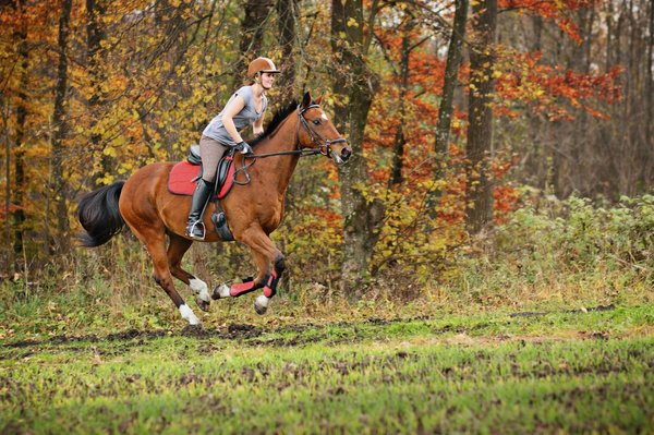 Pantalon d'équitation pour femme : choisir la bonne taille