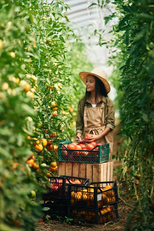 Conseils pour un potager bio et productif