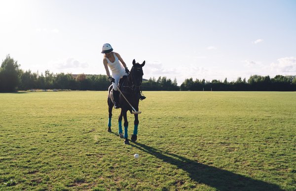 Décryptage des partants du Quinté de demain : stratégies gagnantes